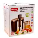 Juicer RJW500-S